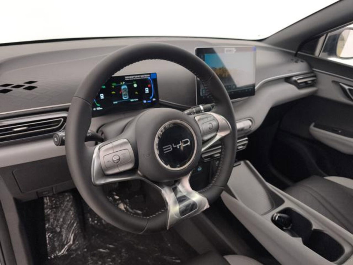 Byd Dolphin Surf 43,2 kWh Boost (10)