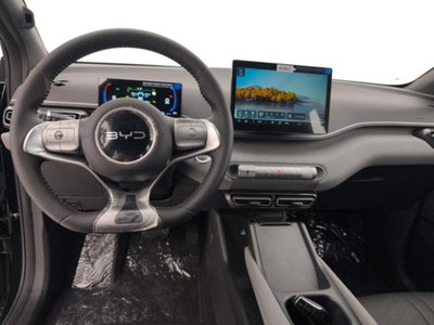 Byd Dolphin Surf 43,2 kWh Boost (12)