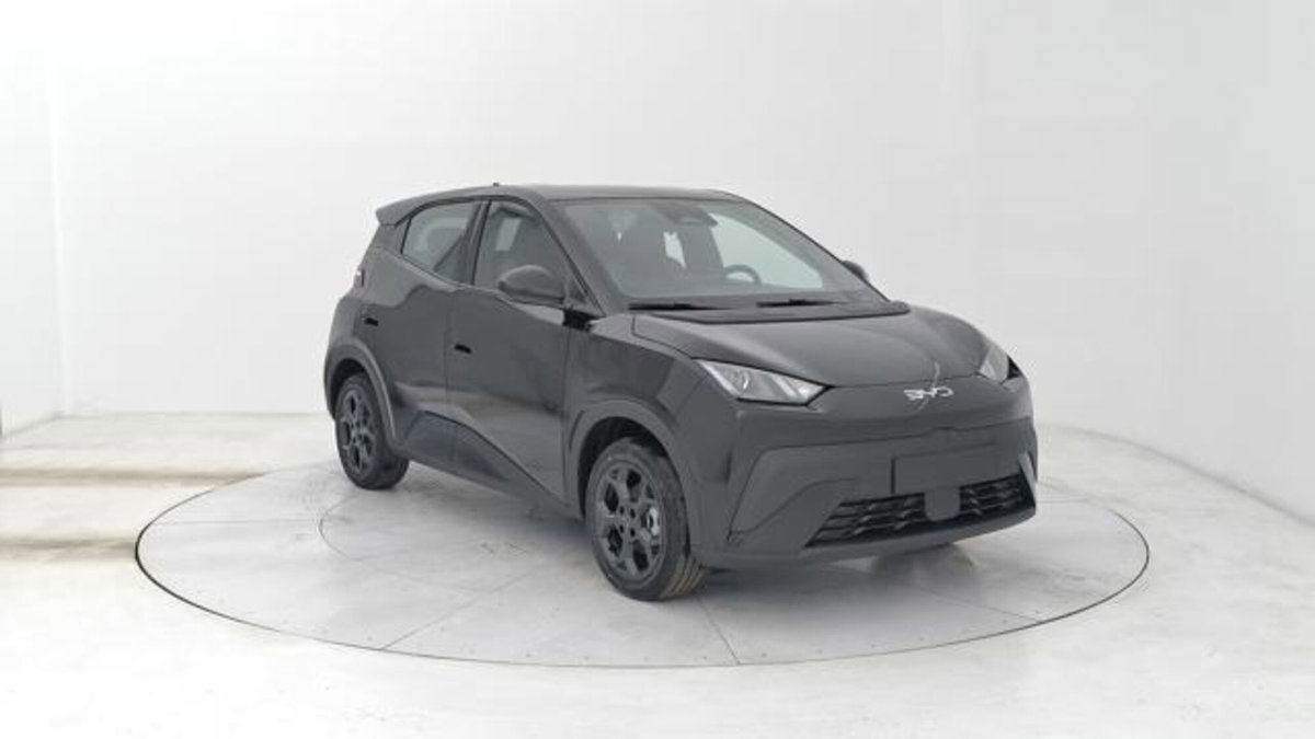 Byd Dolphin Surf 43,2 kWh Boost (7)