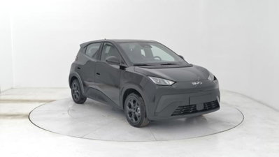 Byd Dolphin Surf 43,2 kWh Boost (7)