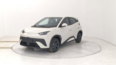 Byd Dolphin Surf 43,2 kWh Boost nuova