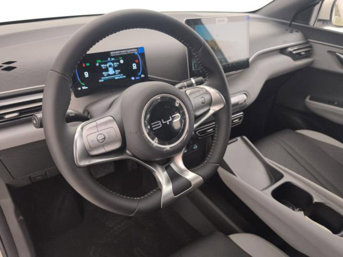 Byd Dolphin Surf 43,2 kWh Boost (10)