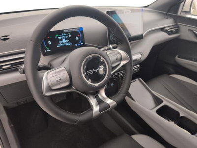 Byd Dolphin Surf 43,2 kWh Boost (10)