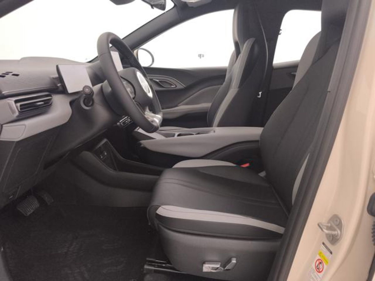 Byd Dolphin Surf 43,2 kWh Boost (11)