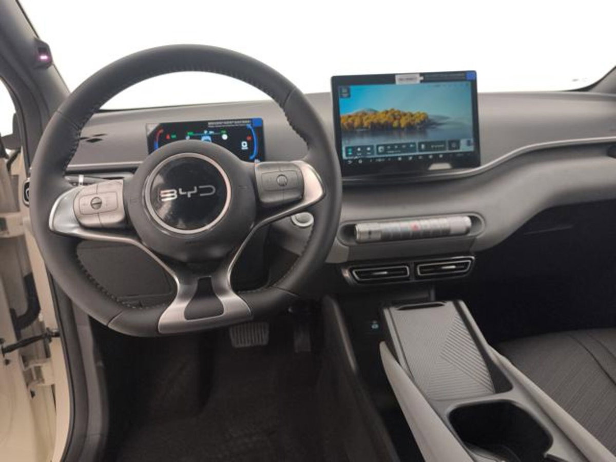 Byd Dolphin Surf 43,2 kWh Boost (12)