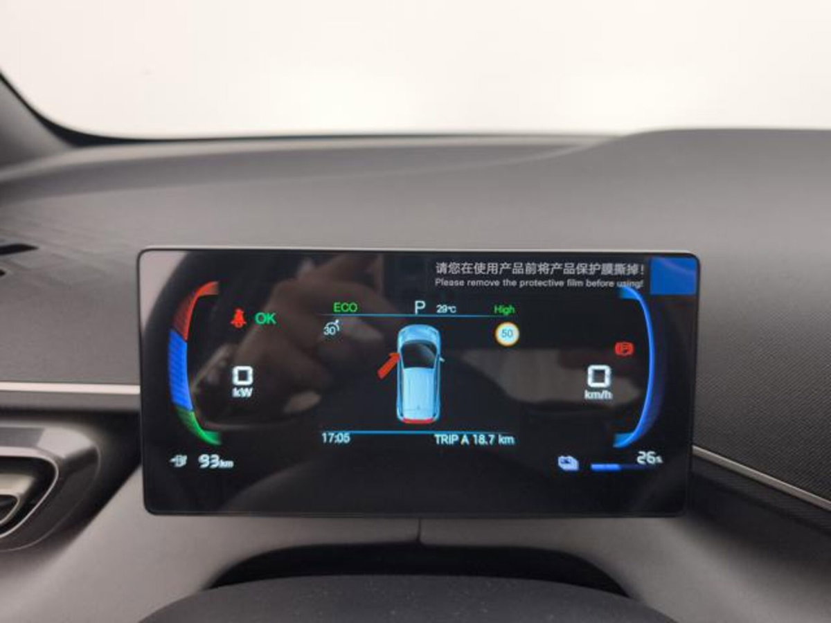 Byd Dolphin Surf 43,2 kWh Boost (13)