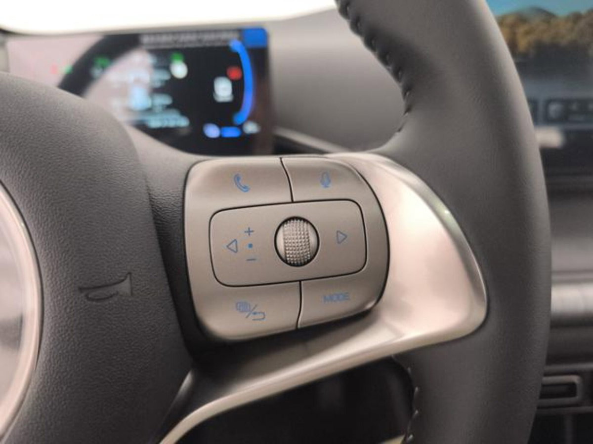 Byd Dolphin Surf 43,2 kWh Boost (15)