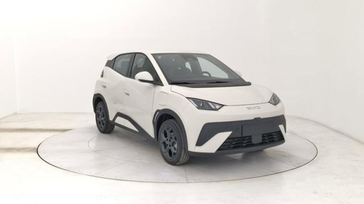 Byd Dolphin Surf 43,2 kWh Boost (7)