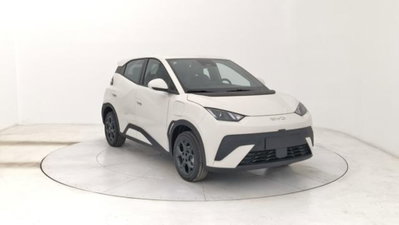 Byd Dolphin Surf 43,2 kWh Boost (7)