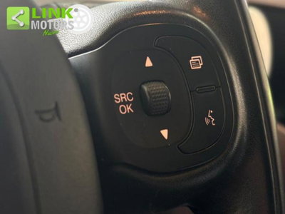 Fiat Panda Cross Cross 1.3 MJT S&S 4x4 (15)