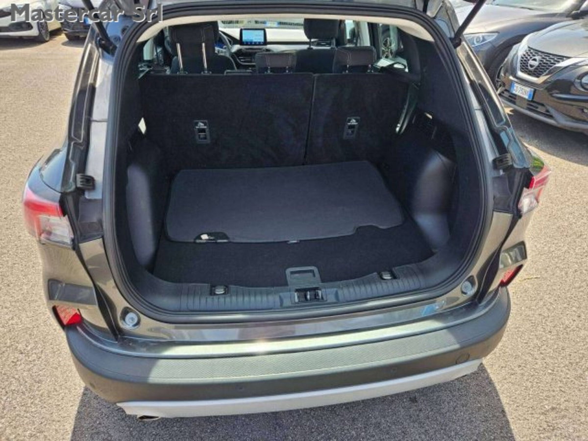 Ford Kuga 2.0 EcoBlue Hybrid 150 CV 2WD Titanium (11)
