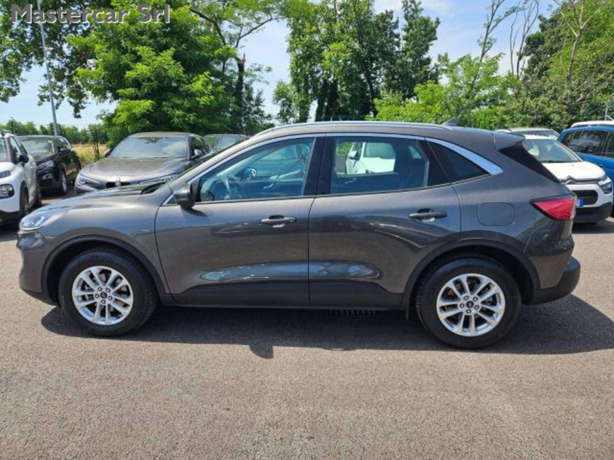 Ford Kuga 2.0 EcoBlue Hybrid 150 CV 2WD Titanium (5)