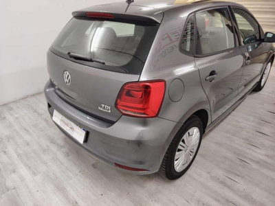 Volkswagen Polo 1.4 TDI 90 CV 5p. Comfortline BlueMotion Technology (4)