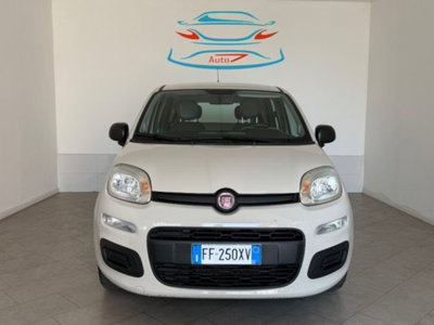 Fiat Panda 1.2 Pandazzurri usata