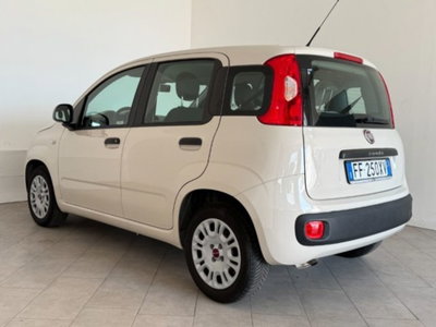 Fiat Panda 1.2 Pandazzurri (5)