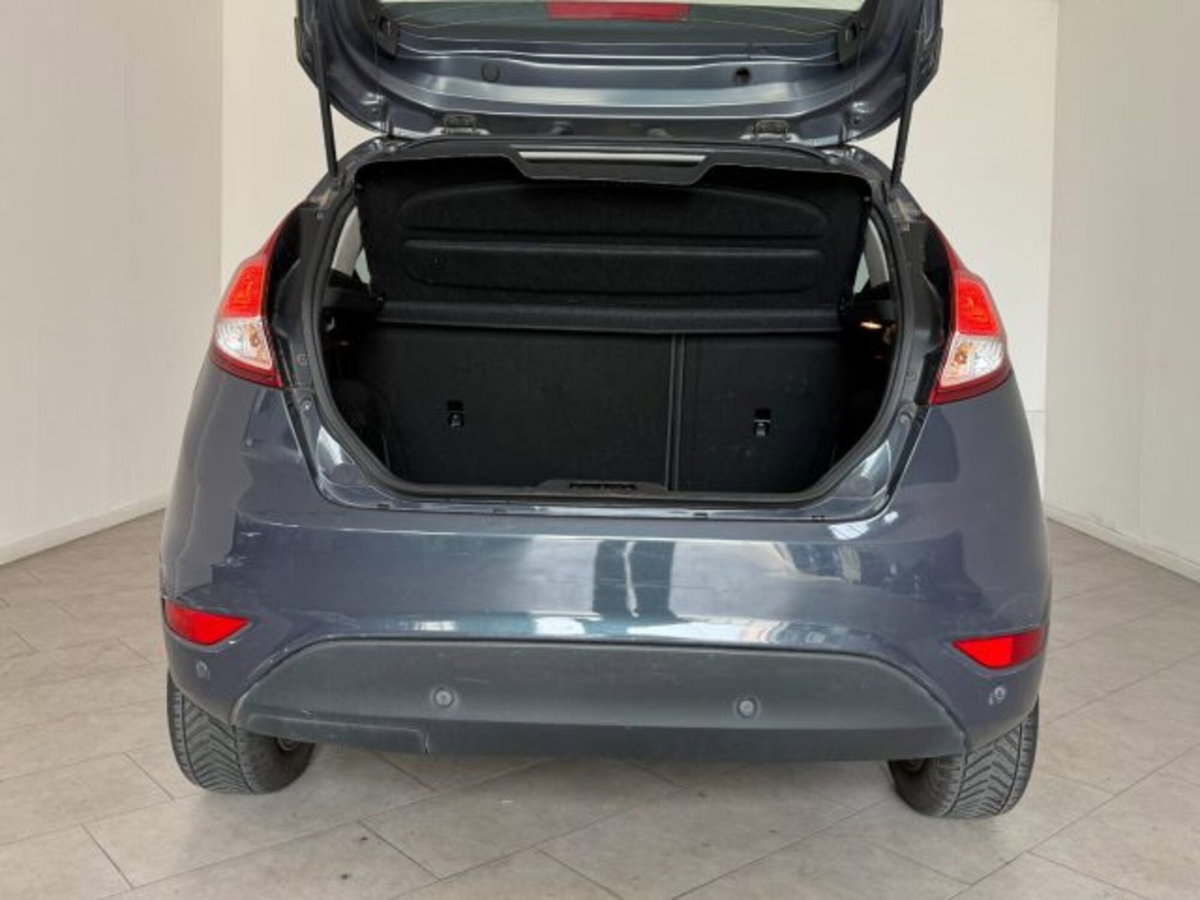 Ford Fiesta 1.4 5 porte Bz.- GPL Titanium (11)
