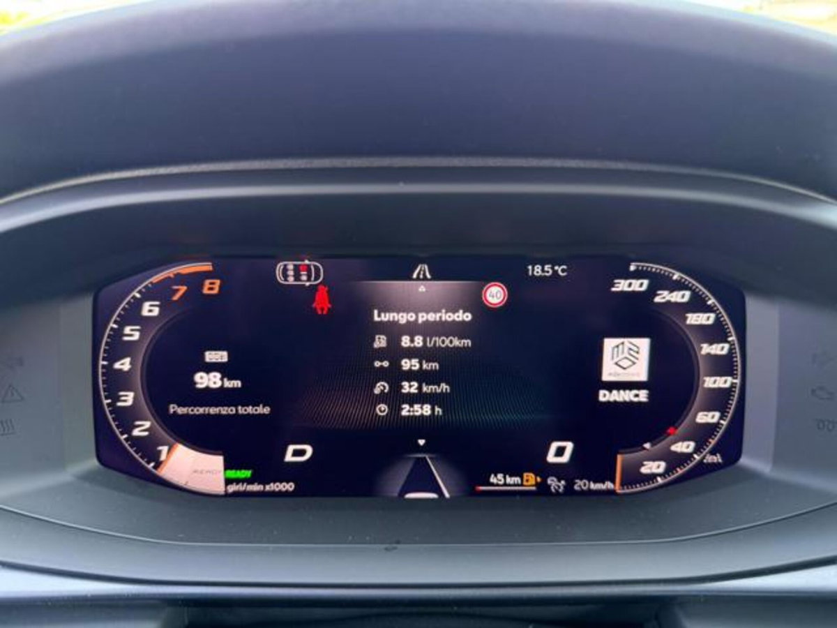 Cupra Terramar 1.5 hybrid 150cv dsg (11)