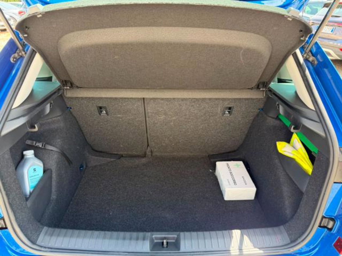 Skoda Kamiq 1.0 tsi Black Dots 115cv dsg (14)