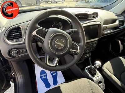 Jeep Renegade 1.6 Mjt 130 CV Limited (8)