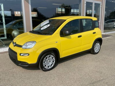 Fiat Panda 1.0 firefly hybrid s&s 70cv 5p.ti (3)