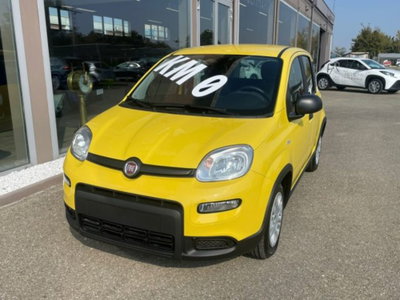 Fiat Panda 1.0 firefly hybrid s&s 70cv 5p.ti (4)