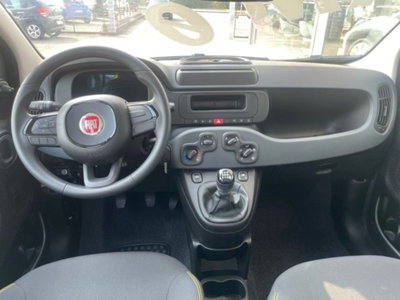 Fiat Panda 1.0 firefly hybrid s&s 70cv 5p.ti (9)
