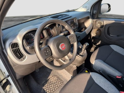 Fiat Panda 0.9 TwinAir Turbo S&S 4x4 Wild (9)