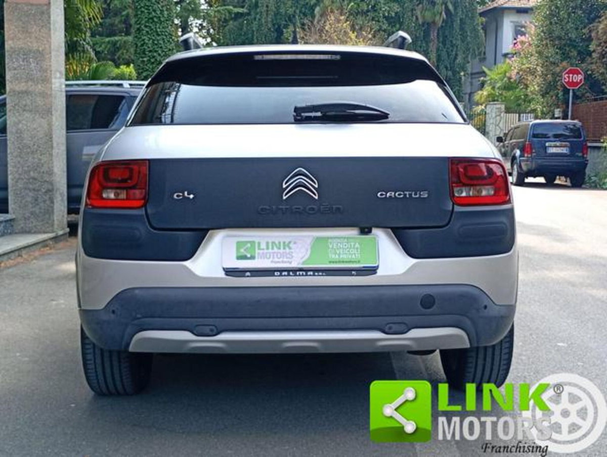 Citroen C4 Cactus BlueHDi 100 Rip Curl (2)