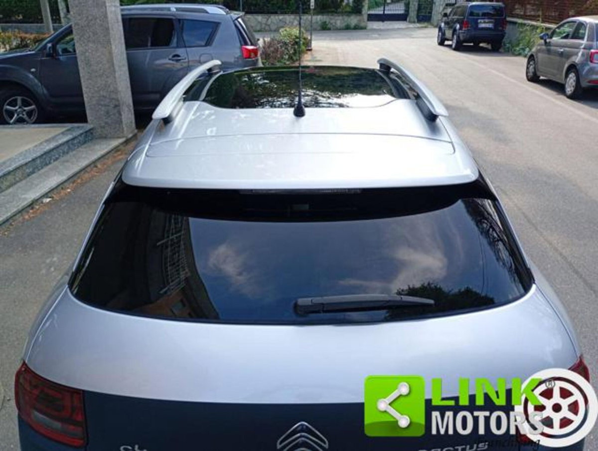 Citroen C4 Cactus BlueHDi 100 Rip Curl (8)