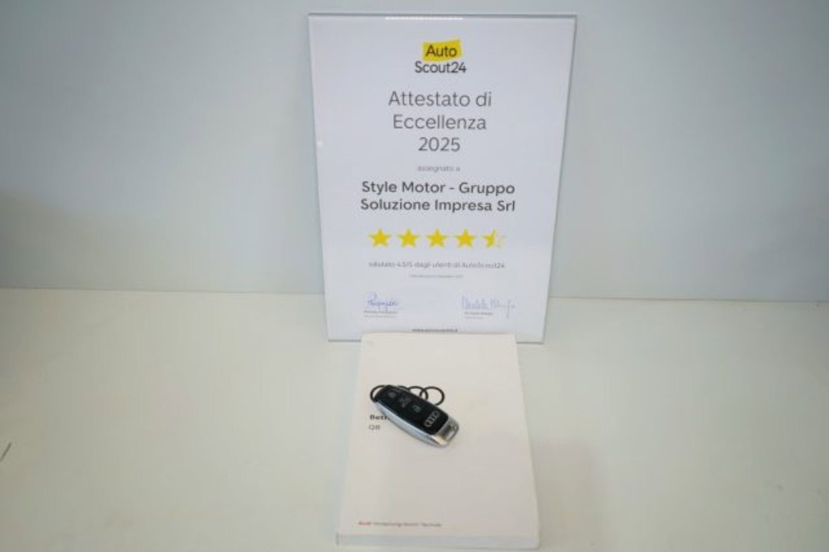 Audi RS Q8 Q8 4.0 mhev quattro tiptronic (15)