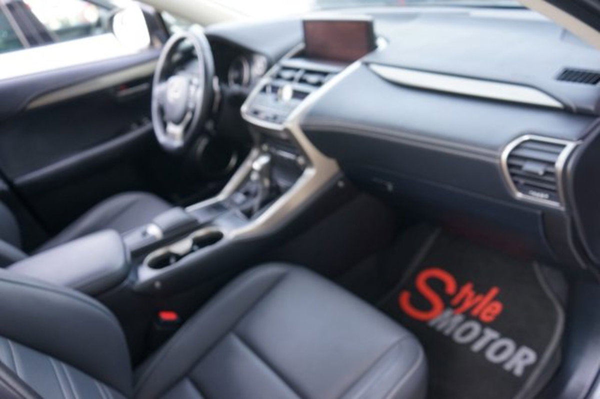 Lexus NX Hybrid 4WD Premium (11)