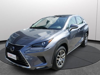 Lexus NX Hybrid 4WD Premium (2)