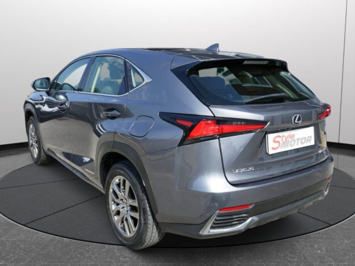 Lexus NX Hybrid 4WD Premium (3)
