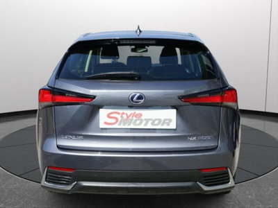 Lexus NX Hybrid 4WD Premium (4)