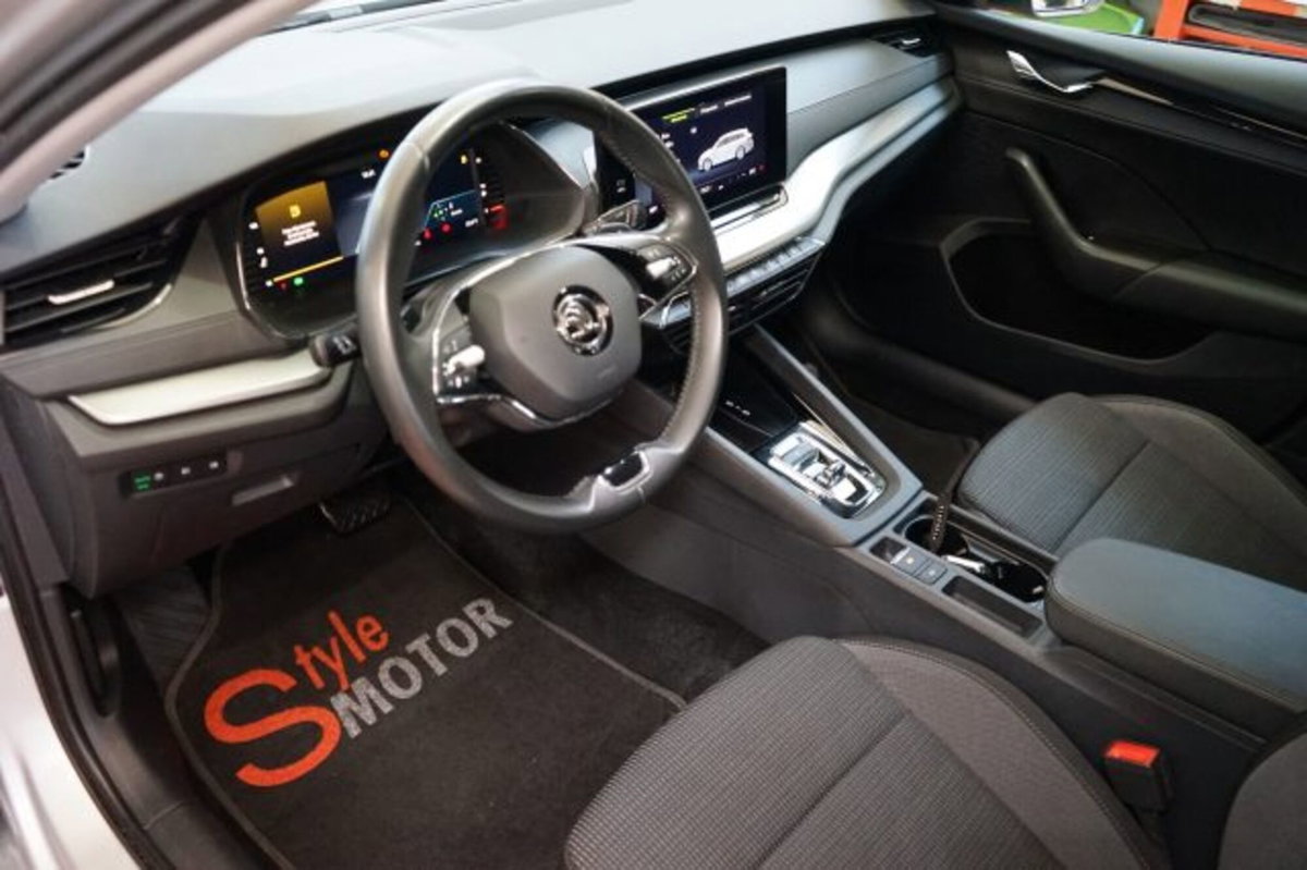 Skoda Octavia Station Wagon 2.0 TDI EVO SCR DSG Wagon Executive (6)