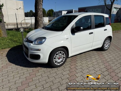 Fiat Panda 1.0 firefly hybrid s&s 70cv 5p.ti usata