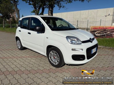 Fiat Panda 1.0 firefly hybrid s&s 70cv 5p.ti (2)