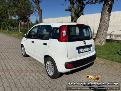 Fiat Panda 1.0 firefly hybrid s&s 70cv 5p.ti (4)