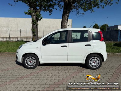 Fiat Panda 1.0 firefly hybrid s&s 70cv 5p.ti (5)