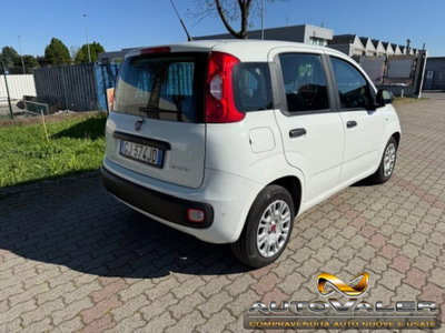 Fiat Panda 1.0 firefly hybrid s&s 70cv 5p.ti (6)