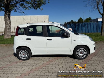 Fiat Panda 1.0 firefly hybrid s&s 70cv 5p.ti (7)