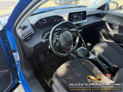 Peugeot 2008 PureTech 100 S&S Active (7)
