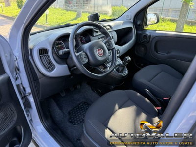 Fiat Panda 1.0 firefly hybrid s&s 70cv 5p.ti (11)
