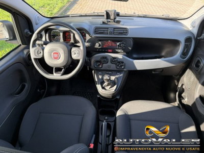 Fiat Panda 1.0 firefly hybrid s&s 70cv 5p.ti (8)