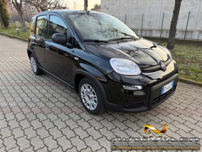Fiat Panda 1.0 firefly hybrid s&s 70cv 5p.ti usata