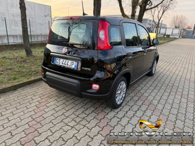 Fiat Panda 1.0 firefly hybrid s&s 70cv 5p.ti (2)