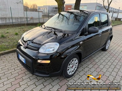 Fiat Panda 1.0 firefly hybrid s&s 70cv 5p.ti (3)