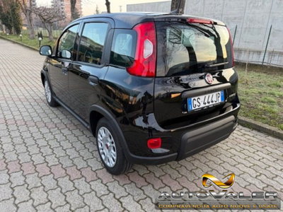 Fiat Panda 1.0 firefly hybrid s&s 70cv 5p.ti (4)