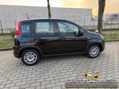 Fiat Panda 1.0 firefly hybrid s&s 70cv 5p.ti (5)
