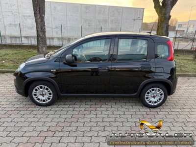 Fiat Panda 1.0 firefly hybrid s&s 70cv 5p.ti (6)